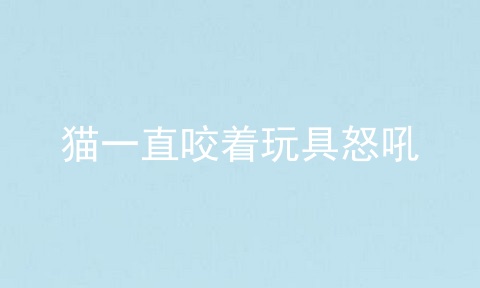 猫一直咬着玩具怒吼