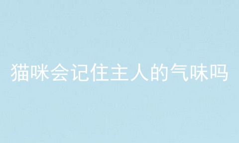 猫咪会记住主人的气味吗