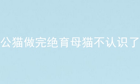 公猫做完绝育母猫不认识了