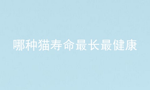 哪种猫寿命最长最健康