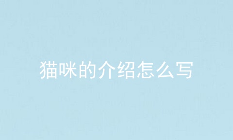 猫咪的介绍怎么写