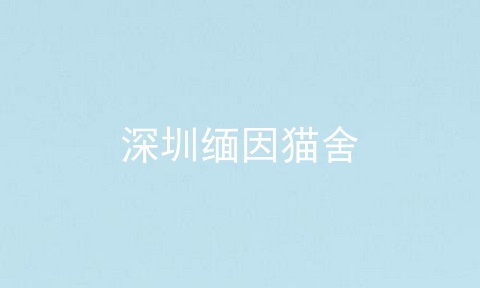 深圳缅因猫舍