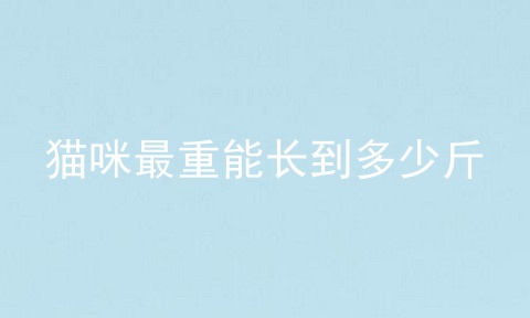 猫咪最重能长到多少斤
