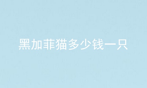 黑加菲猫多少钱一只