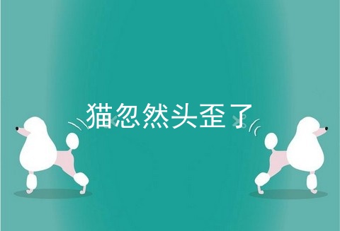 猫忽然头歪了