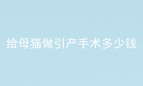 给母猫做引产手术多少钱