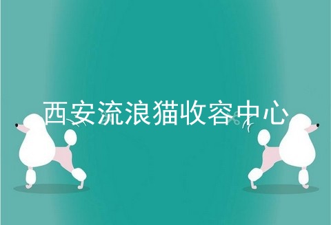 西安流浪猫收容中心