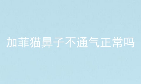 加菲猫鼻子不通气正常吗