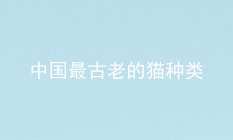 中国最古老的猫种类