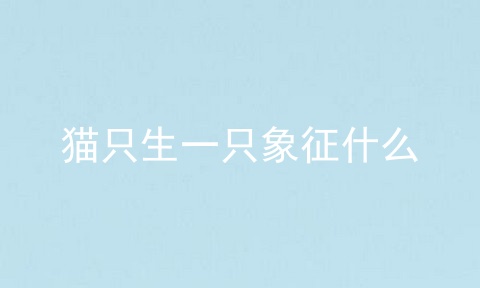猫只生一只象征什么