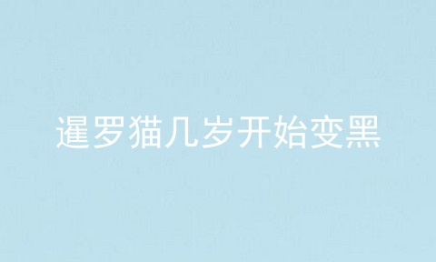 暹罗猫几岁开始变黑