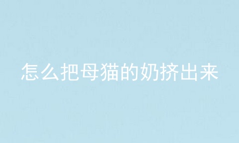 怎么把母猫的奶挤出来
