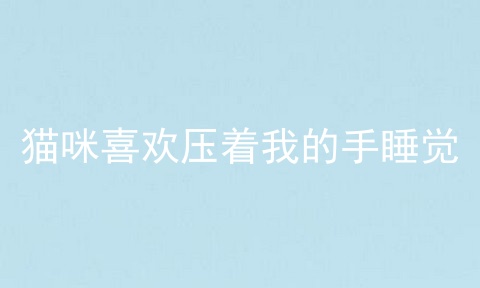 猫咪喜欢压着我的手睡觉