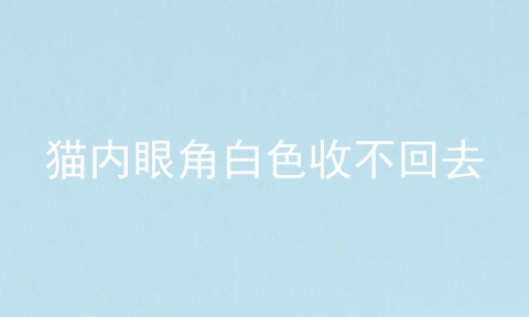 猫内眼角白色收不回去