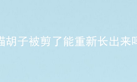 猫胡子被剪了能重新长出来吗