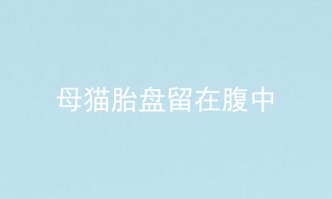 母猫胎盘留在腹中