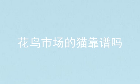 花鸟市场的猫靠谱吗
