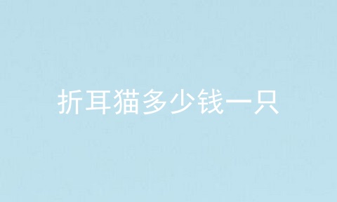 折耳猫多少钱一只