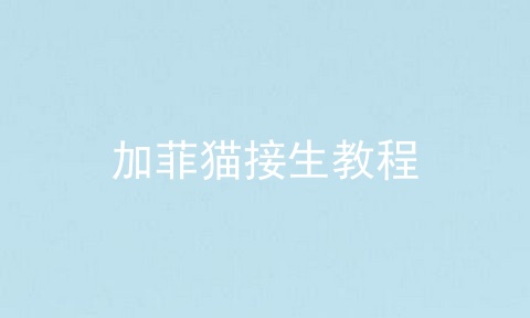 加菲猫接生教程