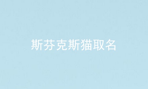 斯芬克斯猫取名