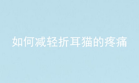 如何减轻折耳猫的疼痛