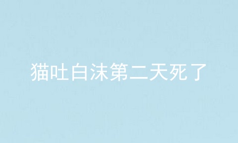 猫吐白沫第二天死了