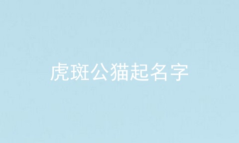 虎斑公猫起名字