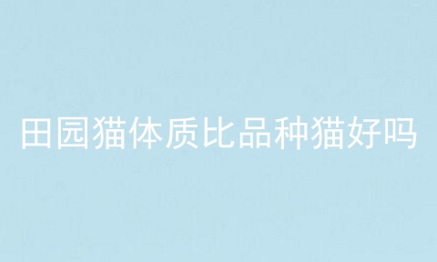 田园猫体质比品种猫好吗