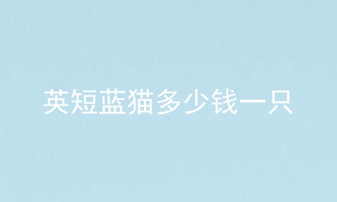 英短蓝猫多少钱一只