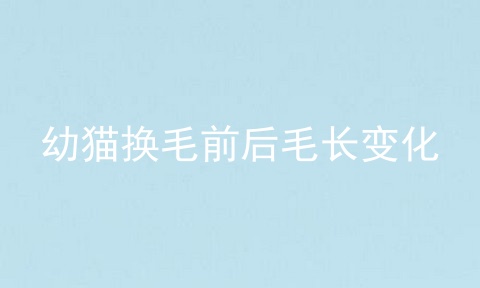 幼猫换毛前后毛长变化