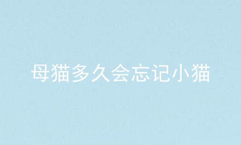 母猫多久会忘记小猫