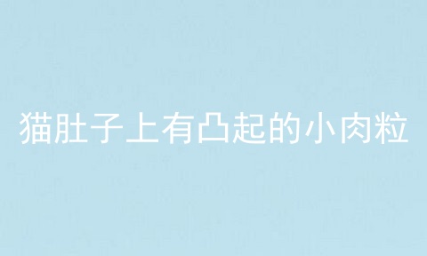 猫肚子上有凸起的小肉粒