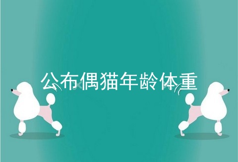 公布偶猫年龄体重