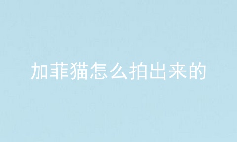加菲猫怎么拍出来的
