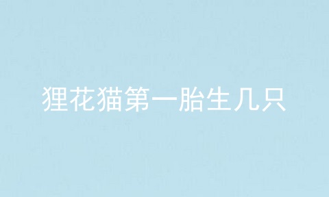 狸花猫第一胎生几只