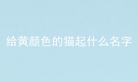 给黄颜色的猫起什么名字
