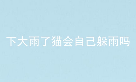 下大雨了猫会自己躲雨吗