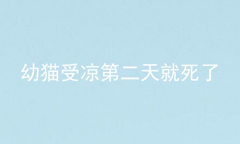幼猫受凉第二天就死了
