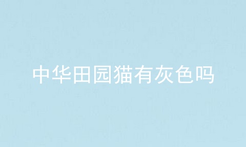 中华田园猫有灰色吗
