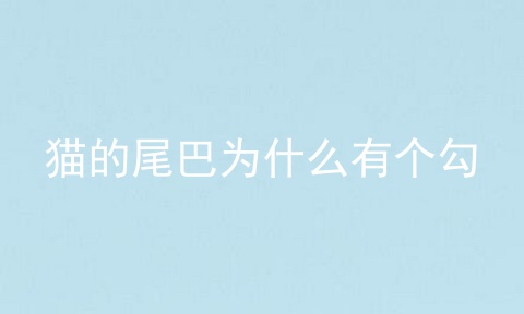 猫的尾巴为什么有个勾