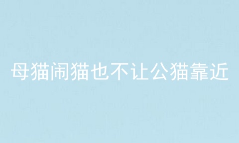 母猫闹猫也不让公猫靠近