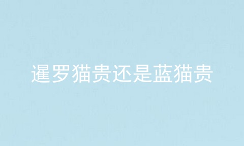 暹罗猫贵还是蓝猫贵