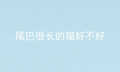 尾巴很长的猫好不好