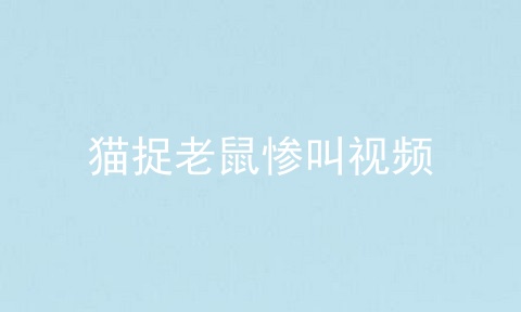 猫捉老鼠惨叫视频