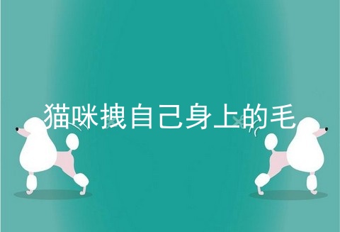 猫咪拽自己身上的毛
