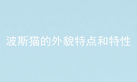 波斯猫的外貌特点和特性