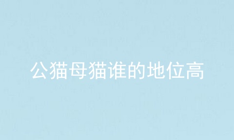 公猫母猫谁的地位高