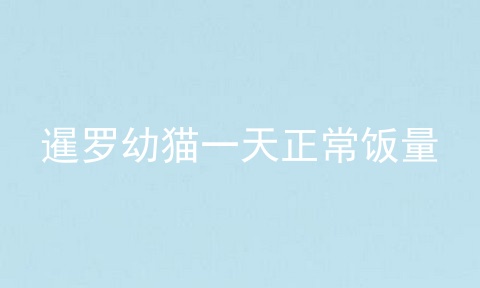 暹罗幼猫一天正常饭量