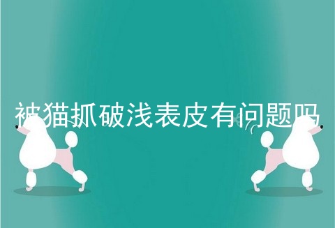 被猫抓破浅表皮有问题吗