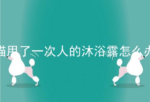 猫用了一次人的沐浴露怎么办
